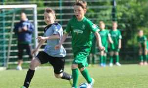 przegladsportowy.pl Puchar
