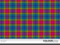 colourlovers.com Puchia
