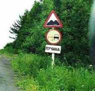 sinus.vl.ru Puchina