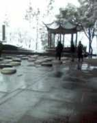 blog.qz828.com Pucz