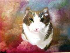 Puddy