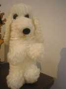 lankasova.blog.idnes.cz Pudlik