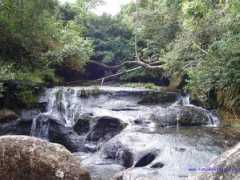 Puhin