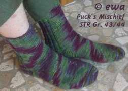 Puks