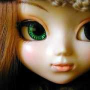 Pulip