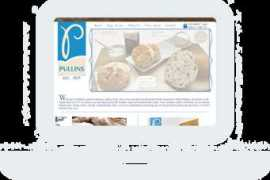 csschopper.com Pullins