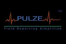 Pulze