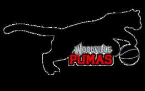Pumas