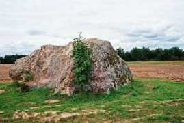 dabasretumi.lv Pundurs