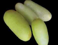 seedsofindia.com Puneri