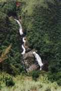 Pungwe