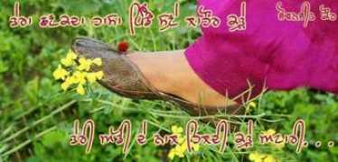 desicomments.com Punjaban