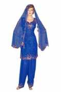 salwarkameezonline.com Punjabi