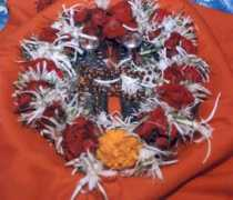 divyajivan.org Punjan