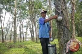 antaranews.com Punjung