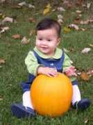 twdf.net Punkin