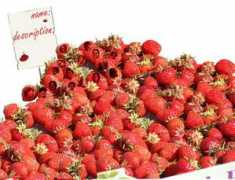 Punnet