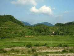 ttzly.com Punong