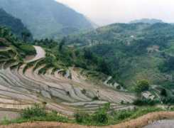 ttzly.com Punong