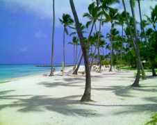 diariodeunturista.com Punta