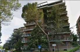 babelecase.it Puntocasa