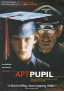 Pupil