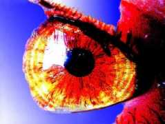 fotovideolab.it Pupilla