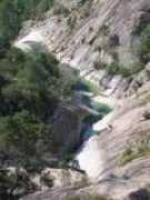 Purca
