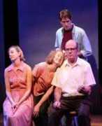 tericlarkvoiceover.com Purchis