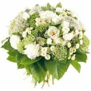 florajet.com Purete