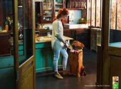 blogs.elpais.com Purina