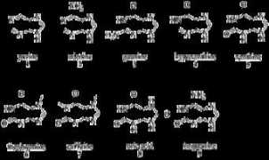 pl.wikidoc.org Purine