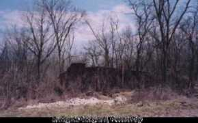 kville.org Purington