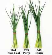 johnnyseeds.com Purly