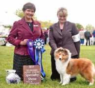 hillstoneshelties.com Purnata