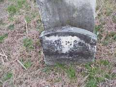 easternshorestuff.com Purnel