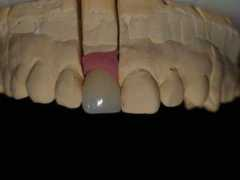 artdental.co.jp Purobi