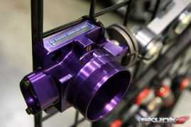 8thcivic.com Purpul