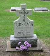 rootsweb.ancestry.com Purshaga