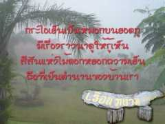 ruanphungamresort.com Purum