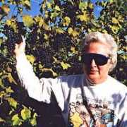 cygnuswinecellars.com Purvins