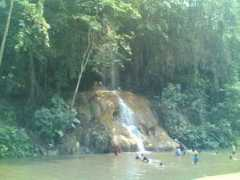 panoramio.com Pusang
