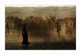 fotogemeinschaft.de Puschkar