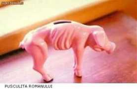 super-bancuri.ro Pusculita