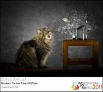 internationalapertureawards.com Pusiri