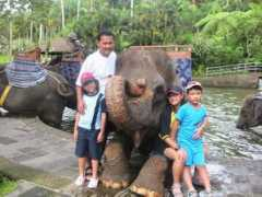 Puspa