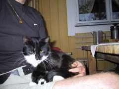 brunnvalla.ch Pussan