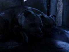 hogsmeade.pl Puszek