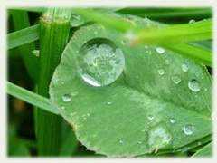 thanalonline.com Puthenchira