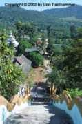 Puttha